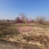 Teren investitie Ilfov